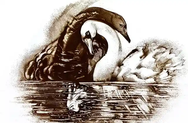 Le lac des cygnes Concert à Palais Princier